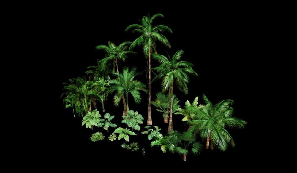 Tropical Jungle Tree Pack